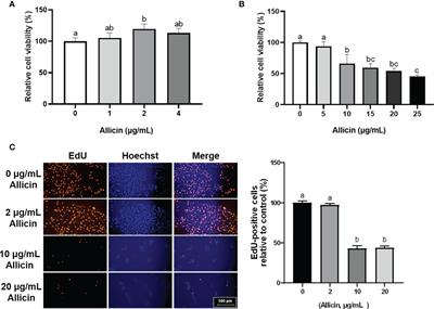 Allicin Improves <mark class="highlighted">Intestinal Epithelial Barrier Function</mark> and Prevents LPS-Induced Barrier Damages of Intestinal Epithelial Cell Monolayers